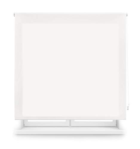 Blindecor Ara Tenda a Rullo Traslucida Tinta Unita, Bianco (Sporco), 80 x 175 cm (larghezza x altezza)