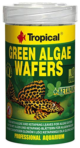 Tropical Tadeusz Ogrodnik Green Algae Wafers gr.113/ml.250