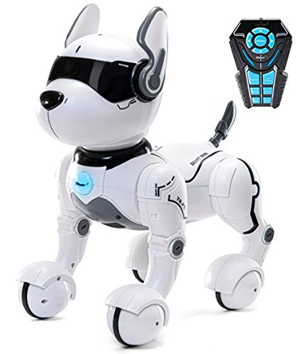 Giocattolo per cane robot telecomandato, Robot per bambini, Giocattoli per cane robot Rc Giocattolo per bambini 2,3,4,5,6 anni, Giocattolo robot intelligente e danzante- Solo cane parla Inglese