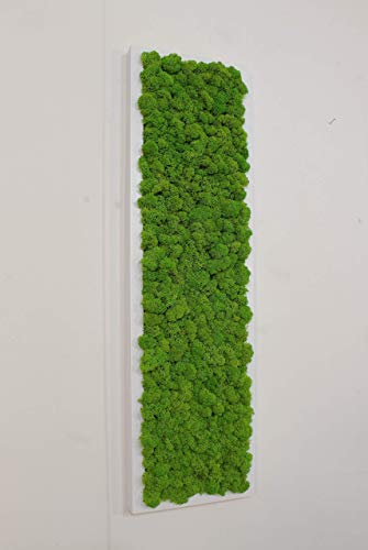 Quadro Vegetale - 70 x 20 cm - Verde 15