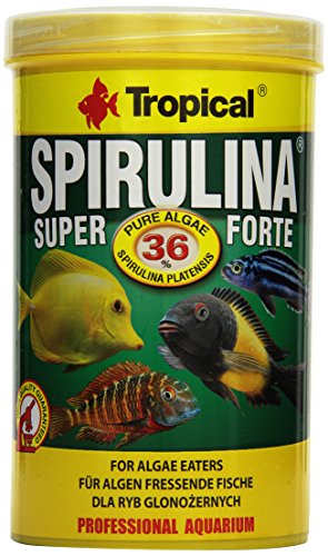 Tropical Super Fodera Fiocco di Spirulina Forte (36%), 1er Pack (1 X 1 L)