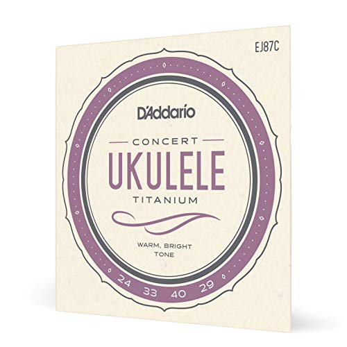 D'Addario EJ87C Set Corde Strumenti Etnici