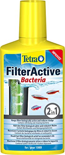 Tetra FilterActive 250 ml Contiene Batteri Vivi che Attivano il Filtro e Batteri che Riducono l'Accumulo di Impurità, Mantiene il Filtro Biologicamente Attivo e Riduce le Impuritá