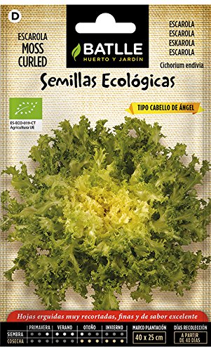 Battle - Semi Ecologici Insalata Scarola - Moss Curled (300 Semi - Bio)