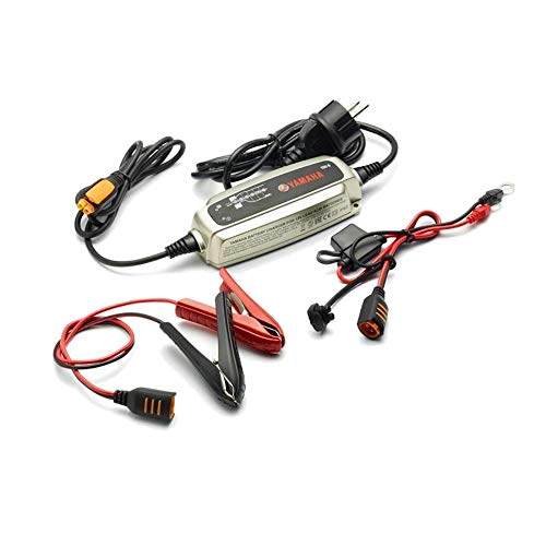 YEC-9 caricabatterie mantenitore 6 fasi batterie moto scooter atv smb nautici originale commutazione automatica mantenimento
