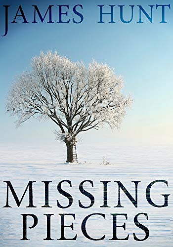 Missing Pieces (A North and Martin Abduction Mystery Book 2) (English Edition)