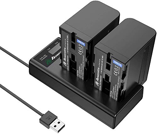 Powerextra 2 Batteria di Sostituzione per Sony NP-F970 F960 F930 F950 da 8800mAh con caricabatterie doppio LCD per Sony DCR-VX2100 DSR-PD150 DSR-PD170 FDR-AX1 HDR-AX2000 HDR-FX1 HDR-FX7 HDR-FX1000