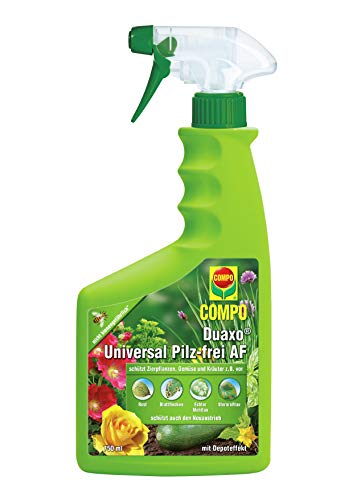 Compo Duaxo 73130 Spray Universale Anti-funghi per le Piante, 750ml