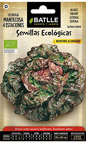 Semi bio - Insalata Four Seasons (400 semi - Organic)