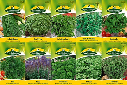 10 varietà | Assortimento di semi di erbe | adatto per principianti | ora prezzo speciale invernale
