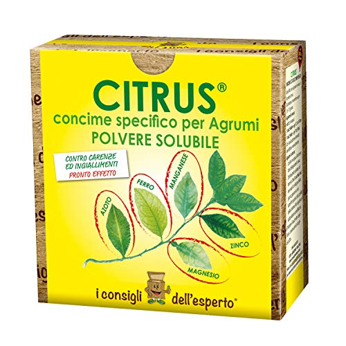 I Consigli Dell'Esperto Citrus Concime Minerale Specifico per Agrumi