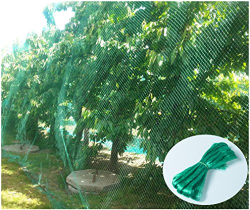 YHmall 4 * 10m Rete per Uccelli Rete Anti-Uccelli Verde Rete Protezione per Piante stagni Frutti Larghezza Maglie