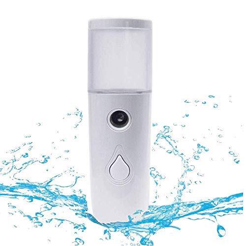 Arespark Spruzzatore Facciale Nano, 30 ml Mini Vaporizzatore Facciale Portatile, Pratico Spruzzatore di Nebbia Fredda, Ricaricabile USB, Idratante per la Cura Della Pelle, Trucco