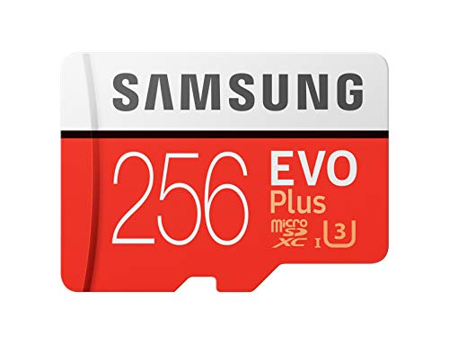 Samsung EVO Plus 2020-256 GB - MicroSDXC, classe 10, UHS-I, 100 MB/s, 90 MB/s