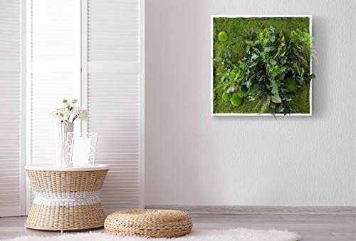 L'originale, Quadro vegetale con muschio piatto e piante naturali stabilizzate, Moss Frame, zero manutenzione, Jungle Moss, giardino pensile stabilizzato