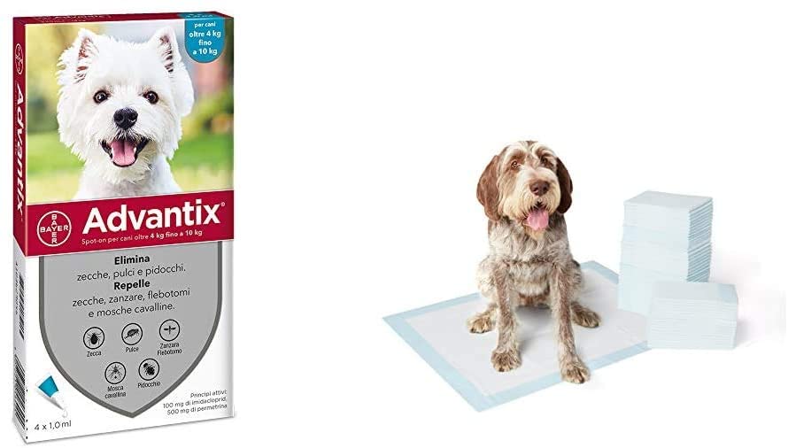 Advantix Spot-on per Cani dai 4Kg ai 10Kg - 4 pipette da 1ml & AmazonBasics Tappetini assorbenti per animali domestici, extra-large