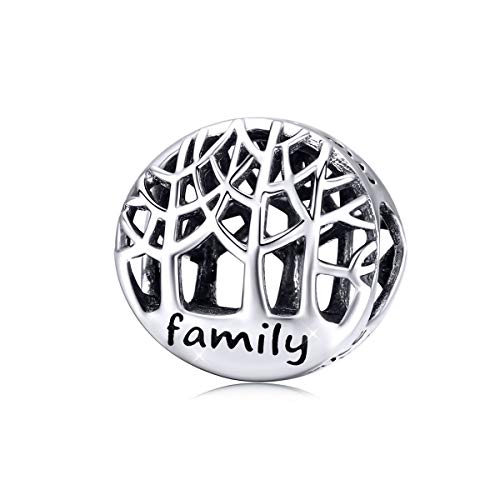 Charm in argento sterling 925, motivo: famiglia di 4 persone, da donna, adatto per braccialetti e collane Pandora Stile 2
