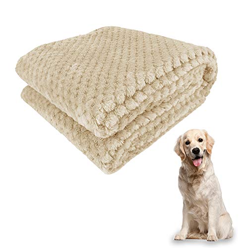 Xnuoyo Coperta Cane Coperta per Animale Coperta Gatto Coperta in Peluche A Doppio Strato Calda, Morbida E Confortevole, Adatta per Gatti E Cani di Taglia Grande Media E Piccola (Cachi, 100 * 70CM)