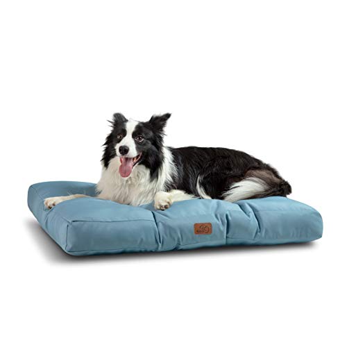 Bedsure Cuscino per Cane Medio - Cuscini per Cani Taglia Media Tappeto Cane Cuscino Cane Interno Cuscino Cuccia Cane Impermeabile 91x68x10 cm Azzurro Lavabile