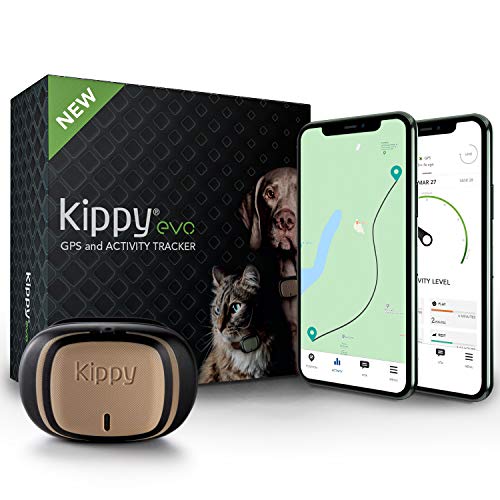 Kippy Evo - Collare GPS per Cani e Gatti con Localizzatore e Rilevatore dell'Attività e dello Stato di Salute - Accessori Cani e Gatti - con Batteria a Lunga Durata e Torcia LED - Marrone