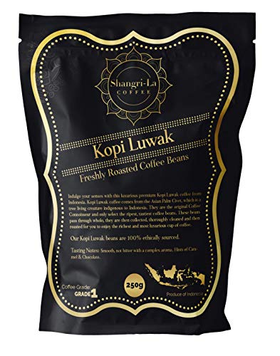 Shangri-la Coffee - Chicchi Di Caffè Macinato Kopi Luwak Selvatici - 250 Grammi (Altri Pesi E Tipi Di Fagioli Disponibili) - Sourced Sostenibile (Dall'indonesia)