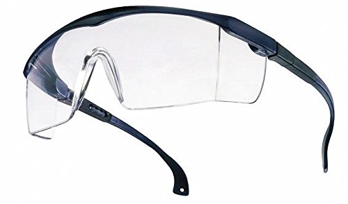 Portwest - Occhiali di protezione Basic, conformi norma EN166, lente trasparente e montatura blu