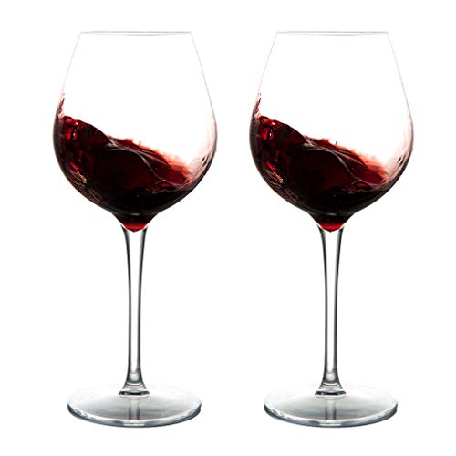 Michley Infrangibile Tritan Calici da Vino Rosso Plastica Dura, Bicchiere Vino da Campeggio da Viaggio BPA-Libera, 440 Ml (15 Oz) Set di 2