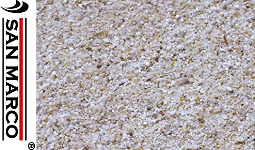 Zodiac - Sabbia quarzifera per pompe filtro a sabbia in sacco da 25 kg