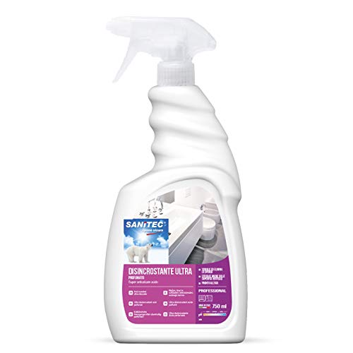 Sanitec Disincrostante Ultra - Detergente Disincrostante e Scioglicalcare, Spray 750 ml