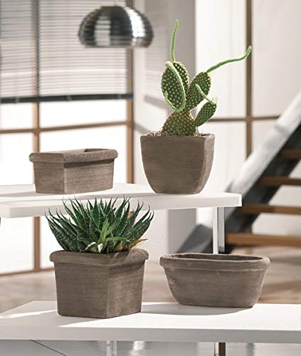 VASI IN TERRACOTTA IN COLORE GRIGIO (4 PEZZI COME IN FOTO) FIORIERE CACTUS PIANTINE GRASSE SUCCULENTE COTTO NATURALE GIARDINAGGIO PIANTE AROMATICHE