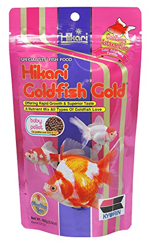 Hikari Goldfish Gold 3.5 oz | Floating Type Baby Pellet | Color Enhancing Food