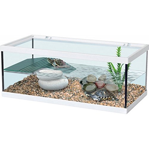 Tartarughiera turtle tank bianca 40x20x18h