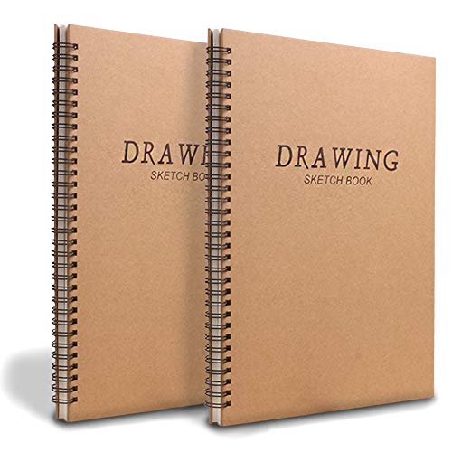 Blocco da Disegno A4, Set da 2 Blocco per Spiralato per Artisti, 160g/m² 60 Pagine/30 Fogli Sketchbook Cartoncino Senza Acidi - Ritratto