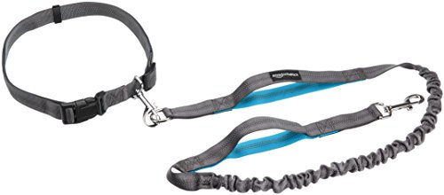 AmazonBasics - Guinzaglio estensibile per cani con doppia maniglia, 1,21 m, colore: blu