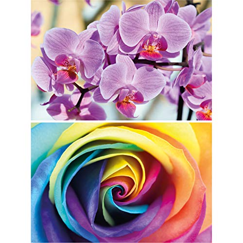 GREAT ART Set di 2 Poster XXL – Fiori d'Estate – Orchidea e Rosa Arcobaleno Piante Fiorisce Primavera Viola Colorata Natura Paesaggio Decorazione Murale (140 x 100cm)