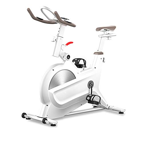 YUANP Cyclette Spinning,Spinning Bike Ciclette per Casa Offerte Mini Cyclette Ellittica Spin Bike Professionale Bici Spin Ciclette E Ellittica Ciclette Spinning per Casa