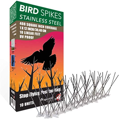 ASPECTEK Kit spuntoni per Uccelli in Acciaio Inox, Copre 3 Metri