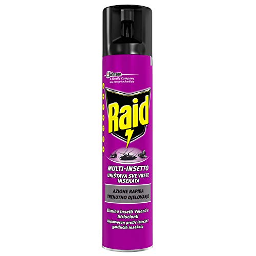 Raid Spray Multinsetto, Insetticida Spray, 1 Confezione da 300 ml