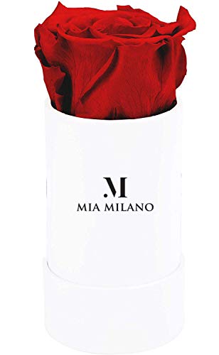 Mia Milano ® Scatola di rose con rose Infinity | Fioriera (confezione regalo di matrimonio) fiori conservati 3 anni durevoli (Small (senza banda), S Bianco - Rosso)