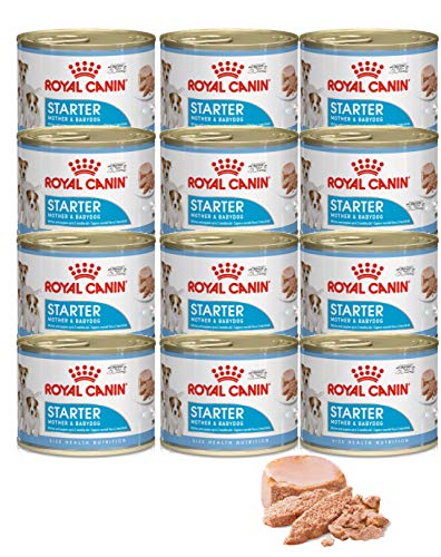 Royal Canin Starter Mousse Mother & Baby, 12 x 195 g