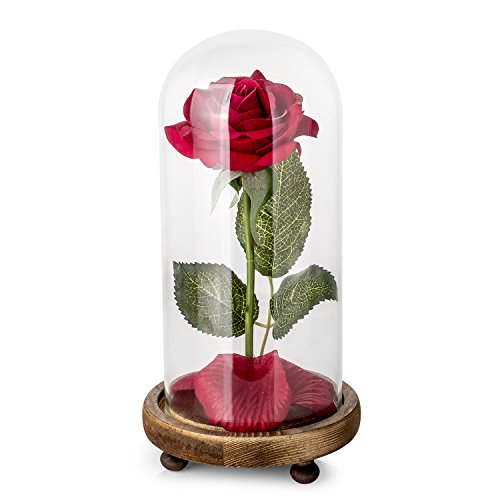 Kit di Rose La Bella e la Bestia, Rosa Rossa di Seta e Luce a LED con Petali caduti in Cupola di Vetro su Base in Legno Anniversario di Matrimonio Festa della Mamma