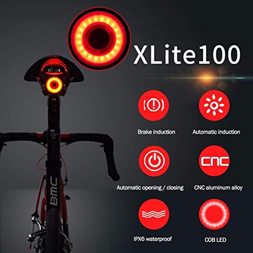 Dewanxin Luce Posteriore Intelligente per Bicicletta, Luce Posteriore Bici USB Ricaricabile, Accensione/Spegnimento Automatico, Luci per Bicicletta a LED Impermeabili IPX6
