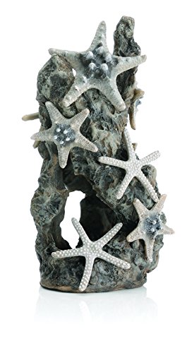 biOrb Samuel Baker Sea Stars su Una Roccia, Grigio