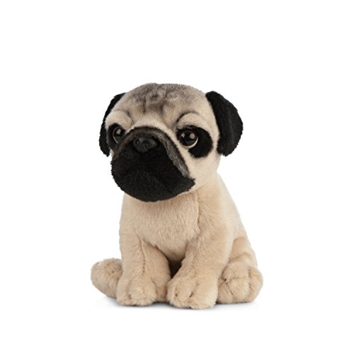 Living Nature- Peluche AN439 Pets Pug Puppy Plush Toy, Colore Unknown