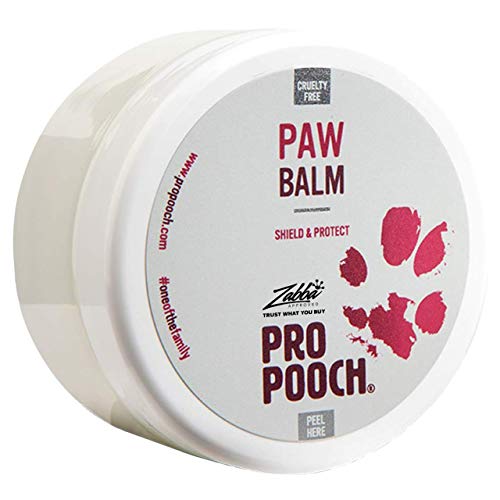 Pro Pooch Balsamo per Cani Zampe (100 ml)