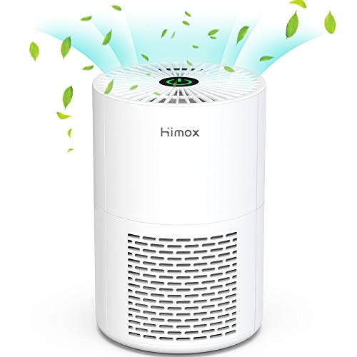 HIMOX Purificatore d'Aria Portatile con Filtro HEPA e Ionizzatore USB Desktop Filtro dell'Aria Filtrazione 99,97% Rimuovere Polvere Polline Fumo Odore Peli di Animali Domestici per Ufficio e Casa