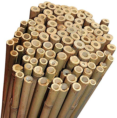Canne di Bambu' Restenti e Naturali - Per Sostegno Ortaggi e Piante o Arredamento di design - Ideali per Pomodori, Rampicanti e per il tuo orto - Canna Bamboo (10 PEZZI - h.180cm / Ø18-20mm)