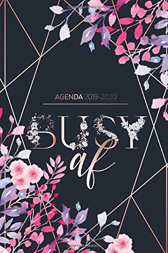 Agenda 2019 - 2020: Busy AF - Agenda Giornaliera Agosto 2019 a Dicembre 2020 - Agenda Settimanale 2019 - 2020 | Journalier, Agende, Office e ... | Pianifica i tuoi appuntamenti quotidiani