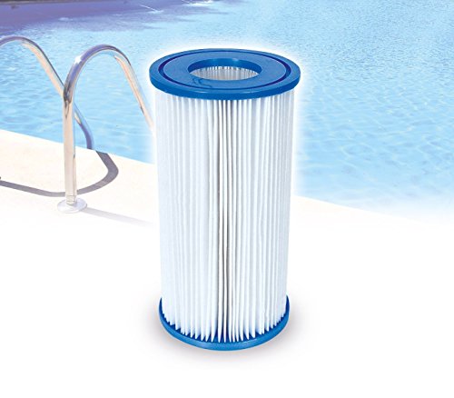 Bestway 58012 Filtro di Ricambio III per Pompa Motore 5678 LT/Ora Piscina 1500 galloni. MWS