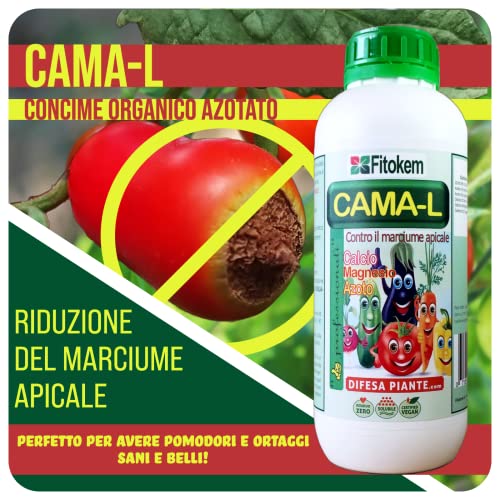CAMA-L 1 KG - concime orto contro marciume apicale del pomodoro - 1 CHILO - per piante - Fitokem Cama l